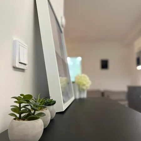 Modern With Private Yard & Terrace